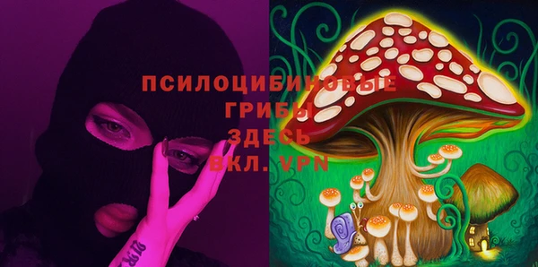 дурь Абдулино