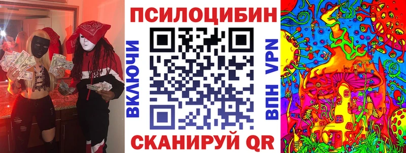 Галлюциногенные грибы GOLDEN TEACHER  даркнет сайт  Новокубанск 