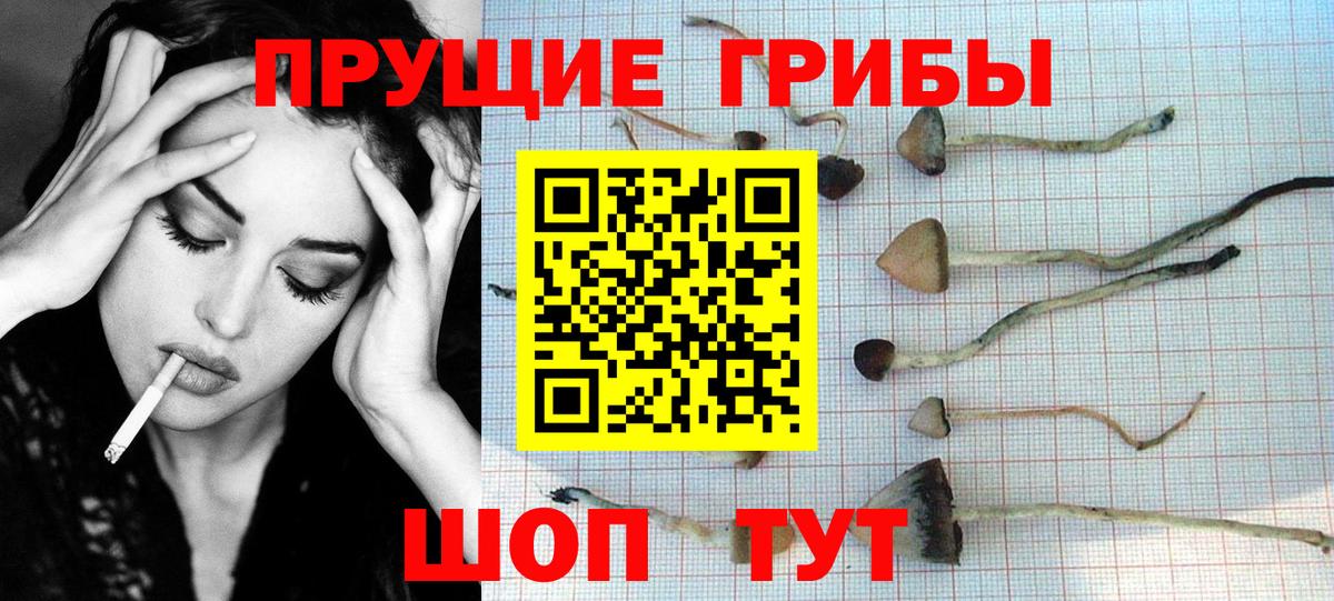 Псилоцибиновые грибы мухоморы  Вход с VPN  Новокубанск 