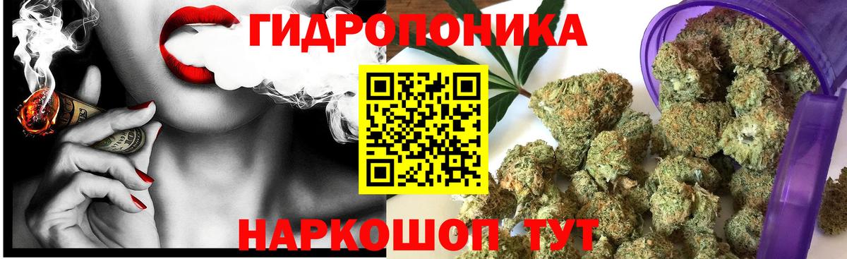 Новокубанск  МАРИХУАНА план  Канабис MAZAR  Вход с VPN 